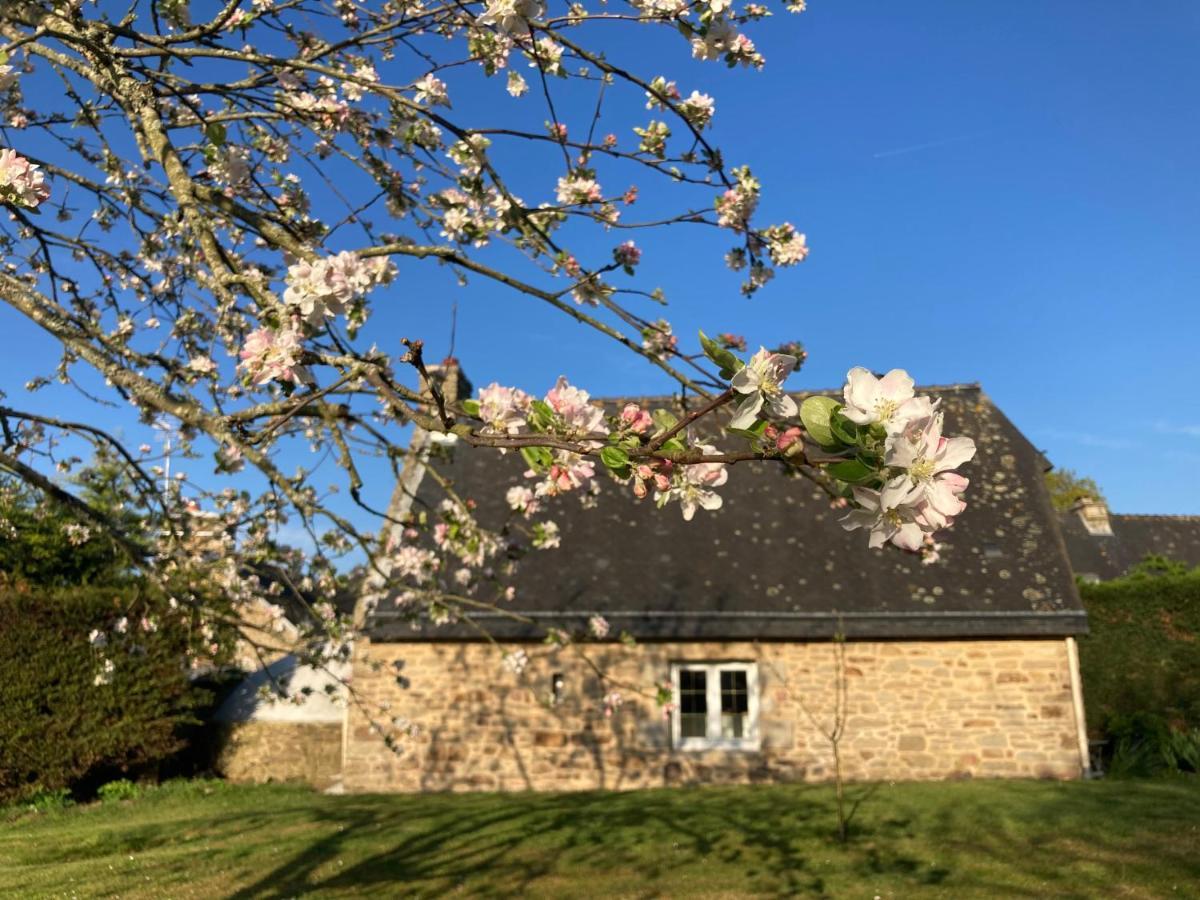 Le Clos De Kermadec Kervignac Екстериор снимка